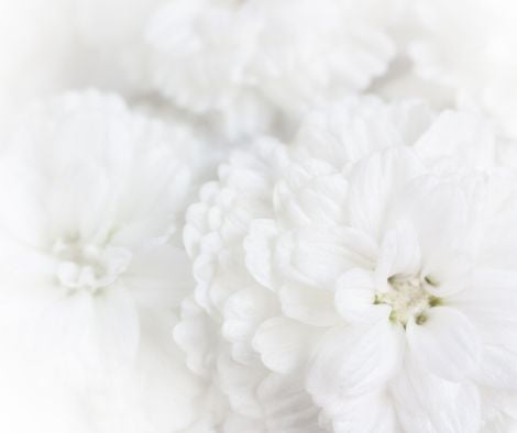 planes de previsión funeraria