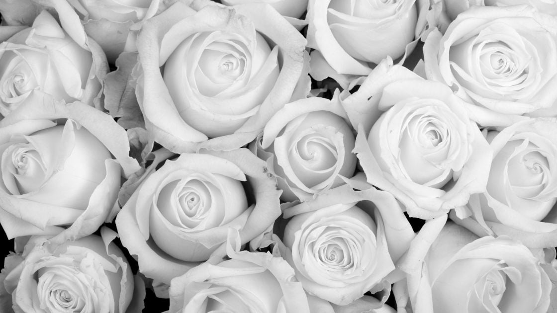 Cremación en Cancún