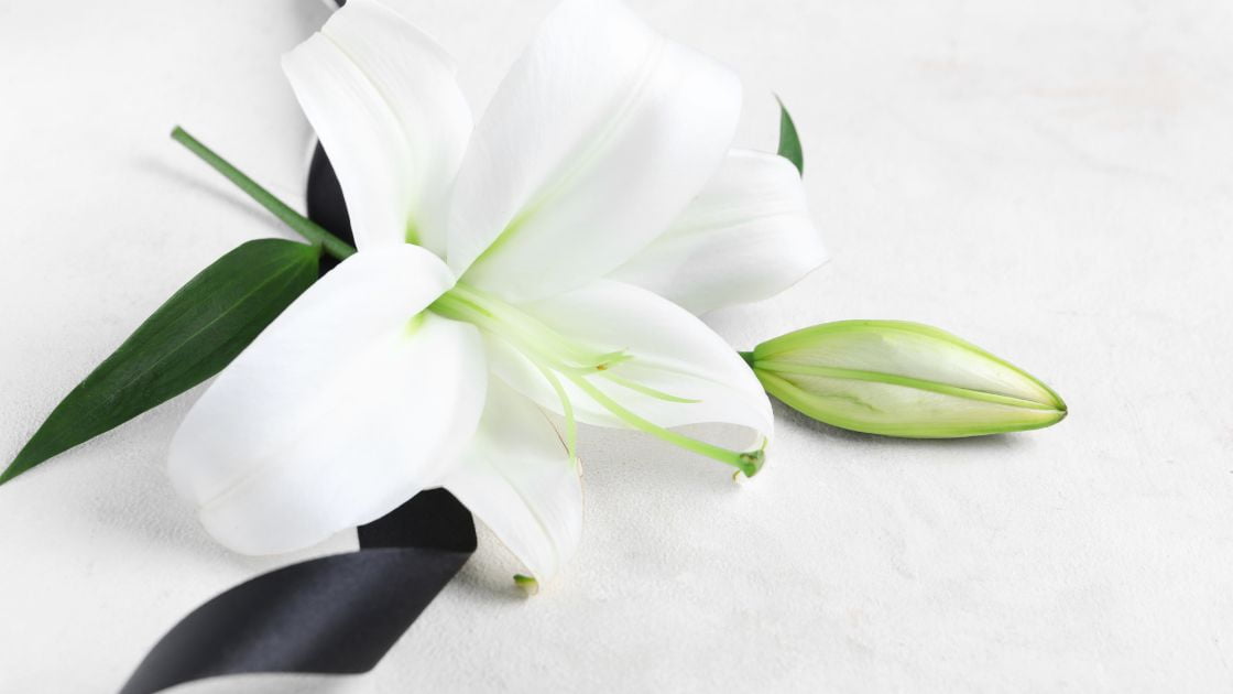 costos de un funeral cancun