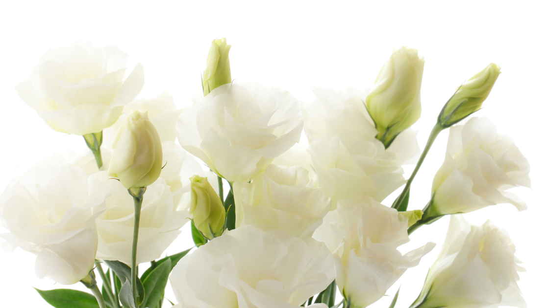 Documentos y trámites tra un fallecimiento